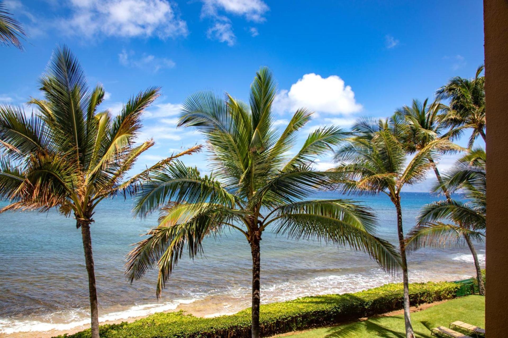 Kbm Free Car Mahana Mah-301 Gorgeous Ocean Front Apartment *