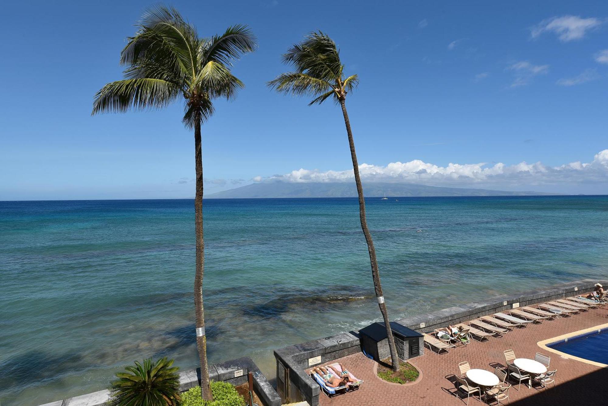 Kulakane 306 Kahana