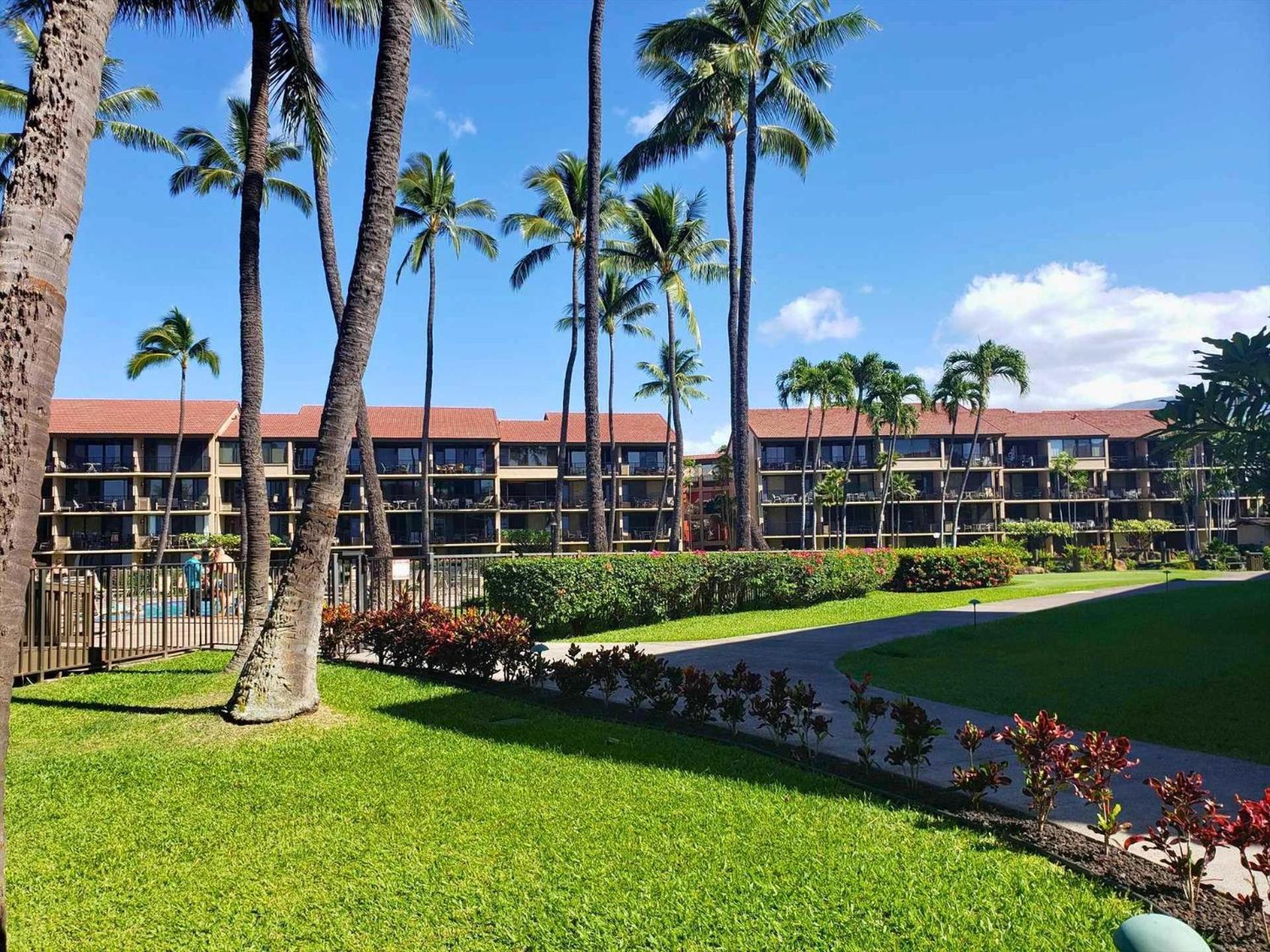 Papakea E204 Apartment Kahana