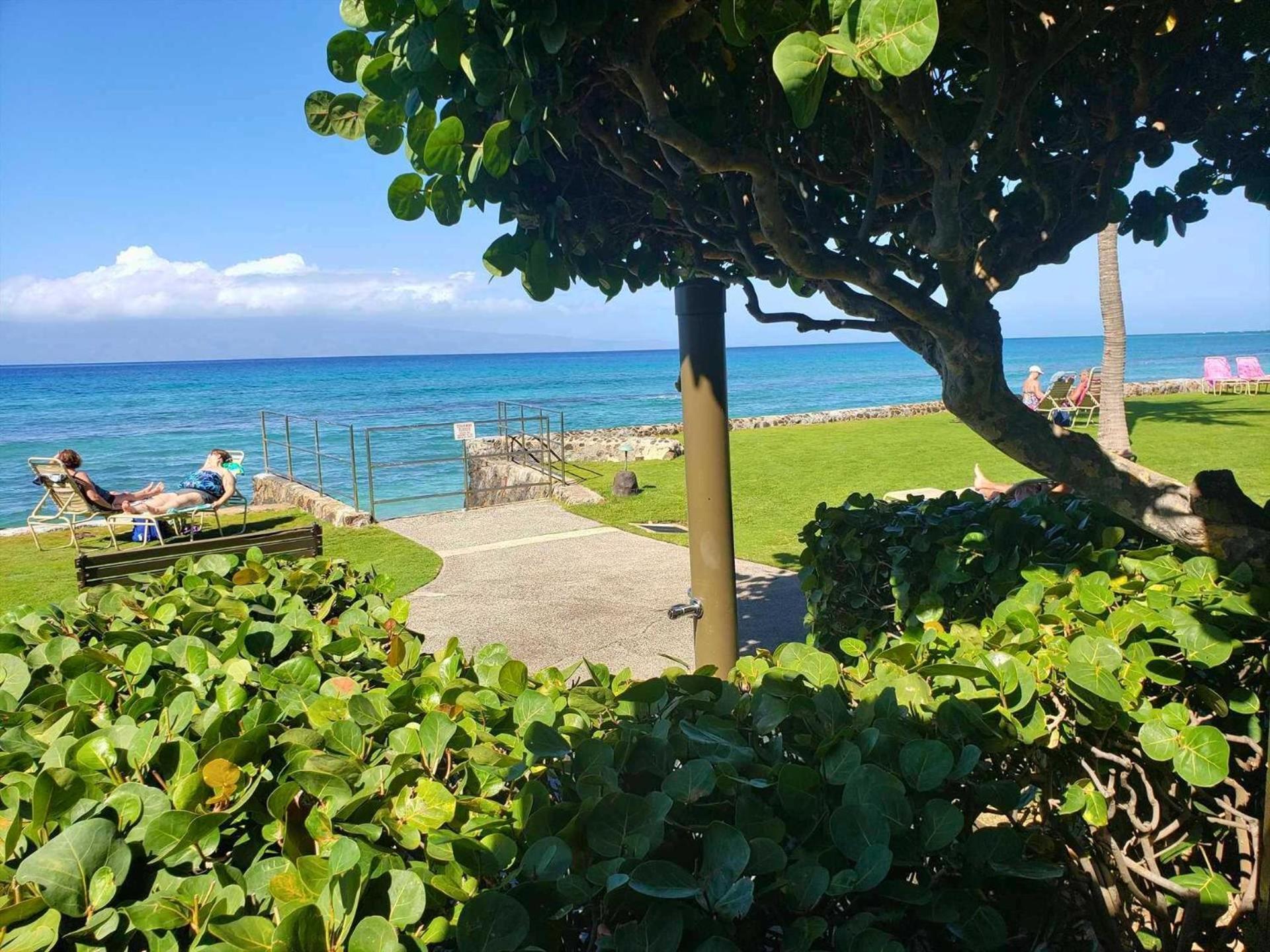 Papakea E204 Kahana