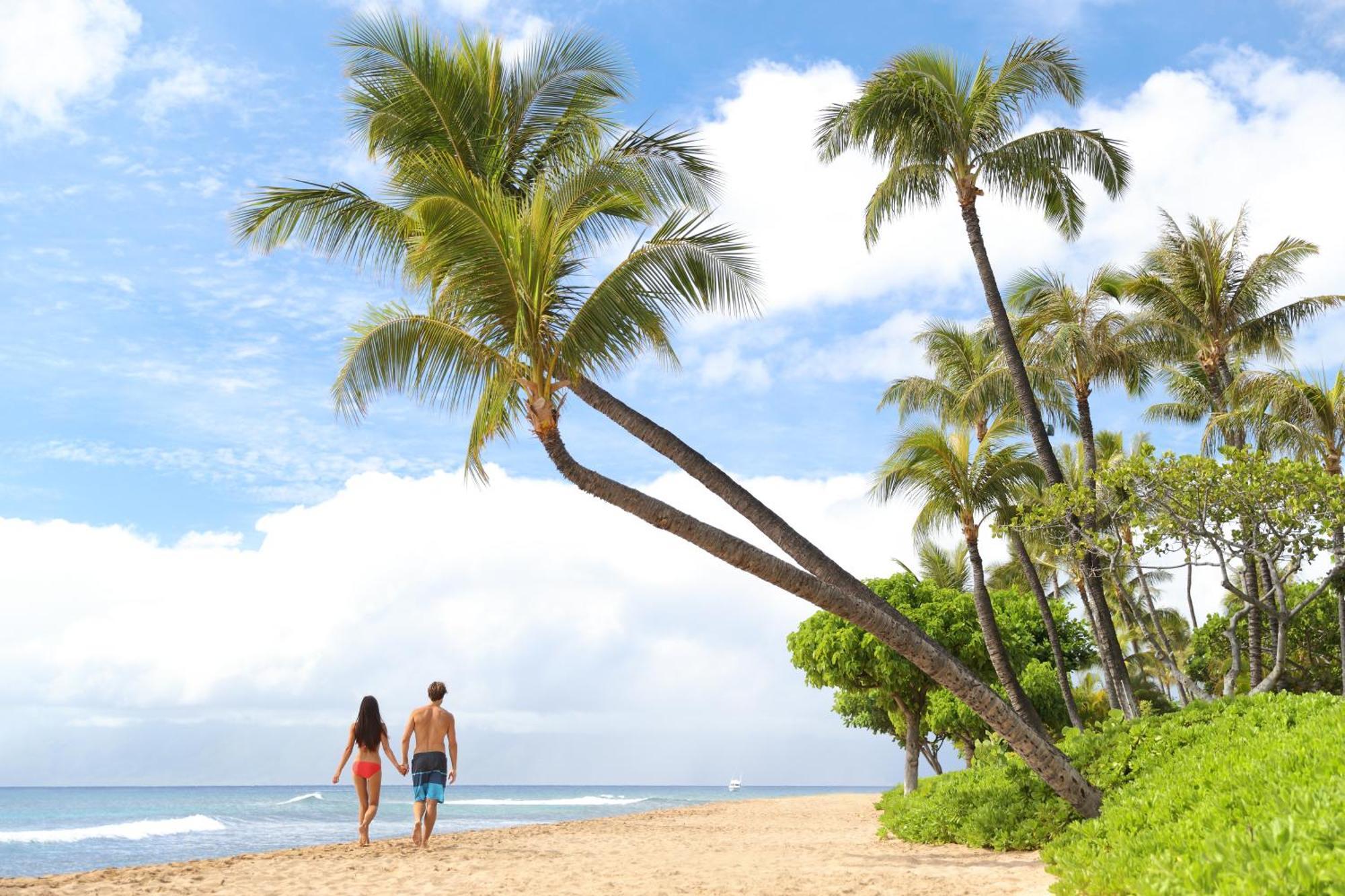 Holiday home Oceanfront Views Above Dukes - Wrap Around Lanai - Outdoor Kitchen Honua Kai H351 *