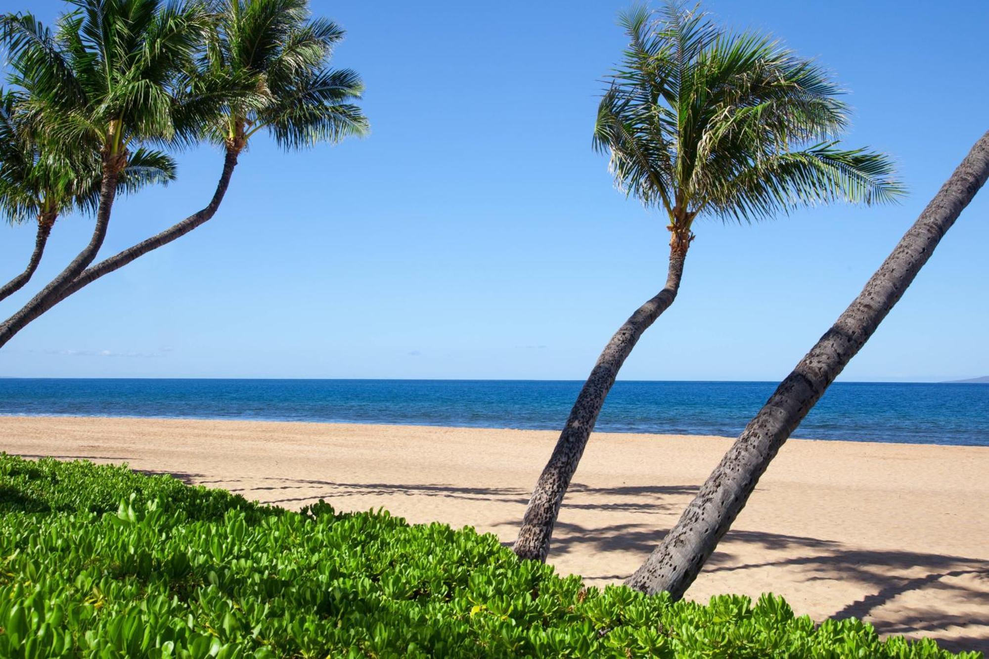 Marriott's Maui Ocean Club - & Napili Towers Lahaina
