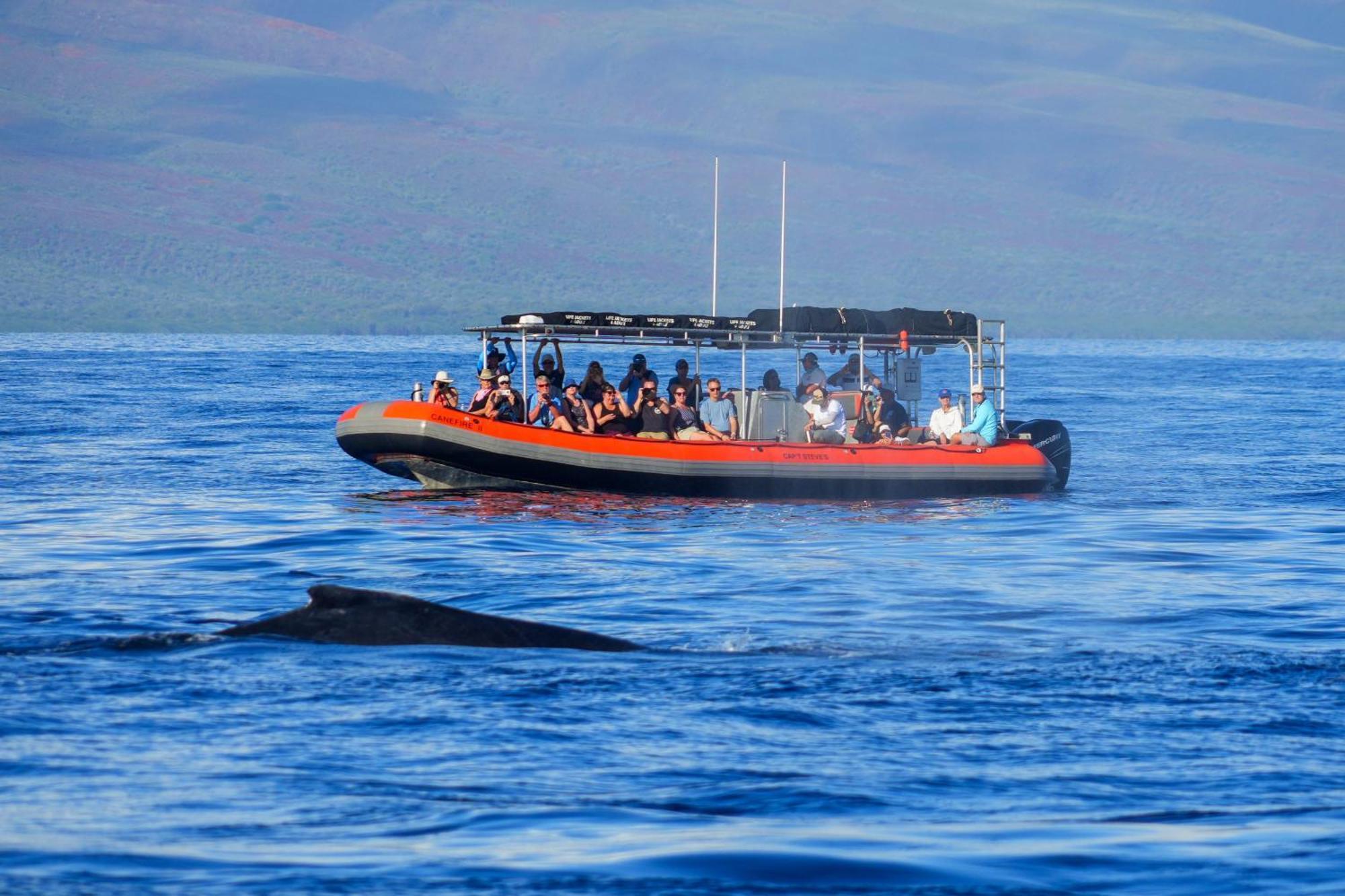Ocean Views At Honua Kai - Soak In Maui Sunsets On Expansive Lanai -hokulani 719 Lahaina