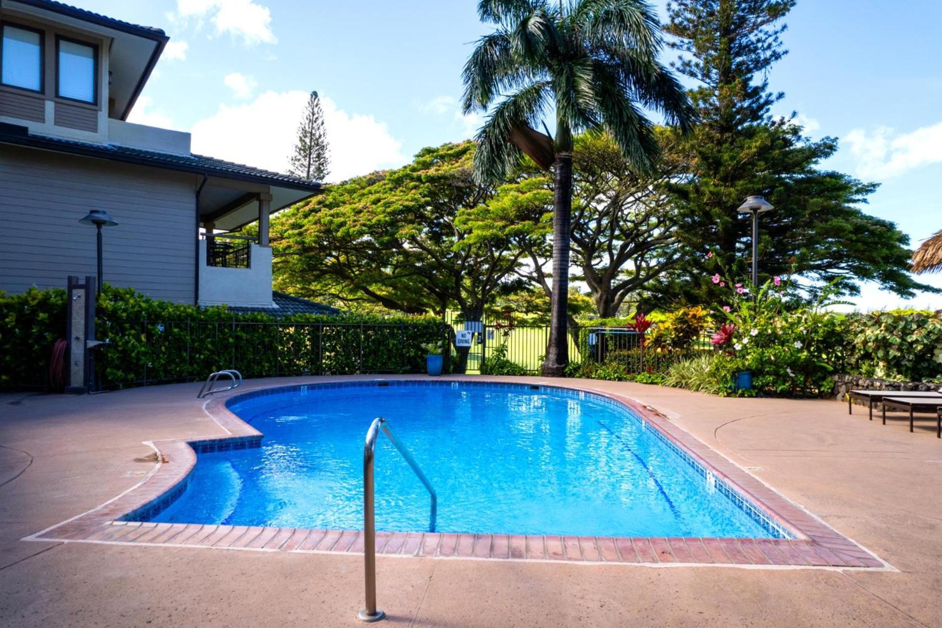 Kbm Free Car Golf Kgv-24p2 Remodeled Ocean View Apartment