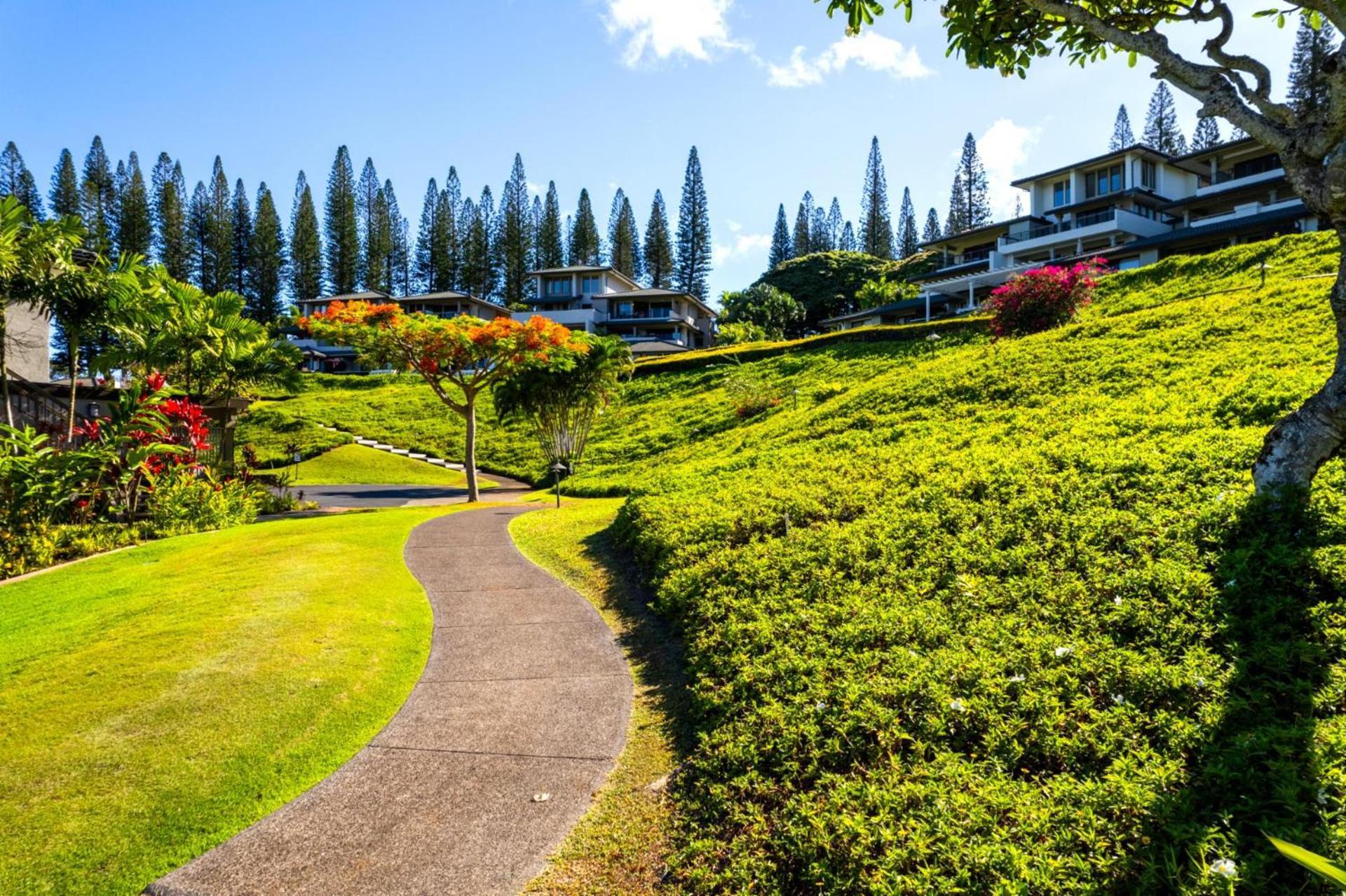 Apartment Kbm Free Car Golf Kgv-24p2 Remodeled Ocean View *