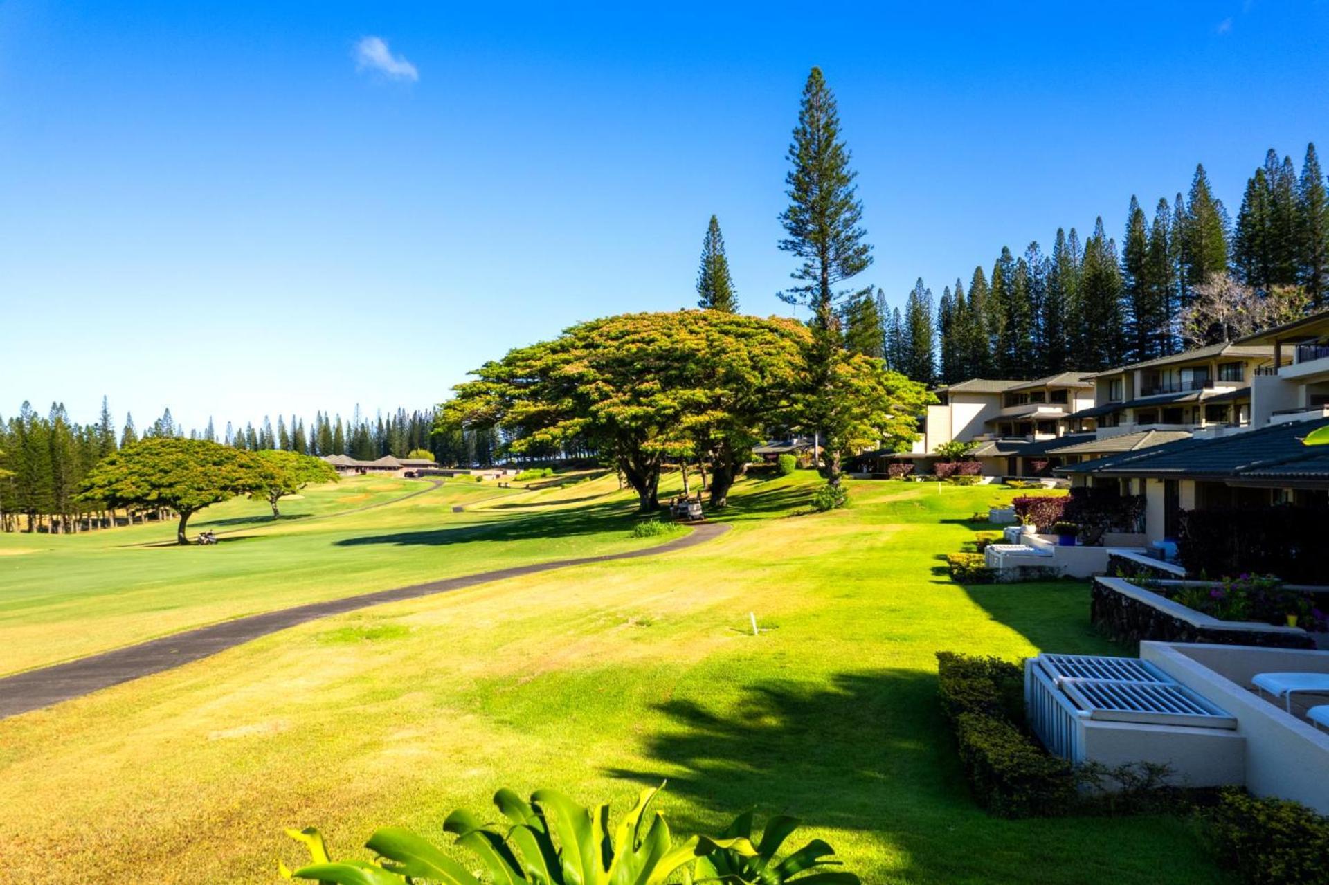 Kbm Free Car Golf Kgv-24p2 Remodeled Ocean View