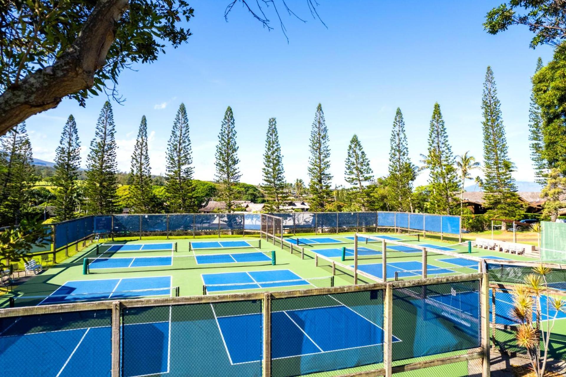 Kbm Free Car Golf Kgv-24p2 Remodeled Ocean View Apartment
