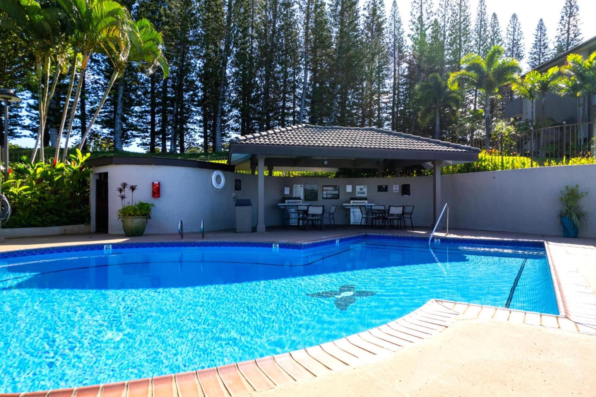 Kbm Free Car Golf Kgv-24p2 Remodeled Ocean View Kapalua
