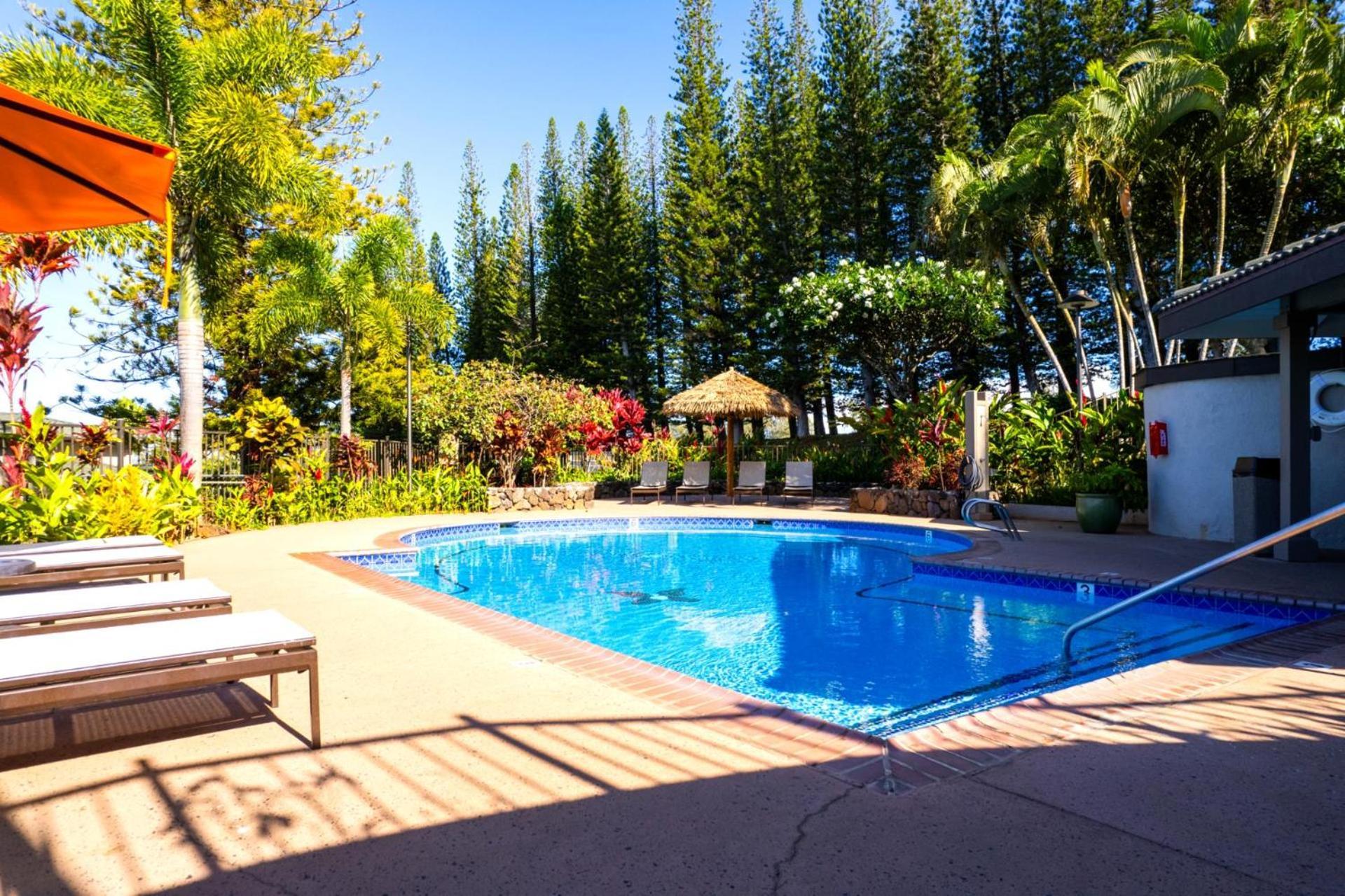 Apartment Kbm Free Car Golf Kgv-24p2 Remodeled Ocean View *