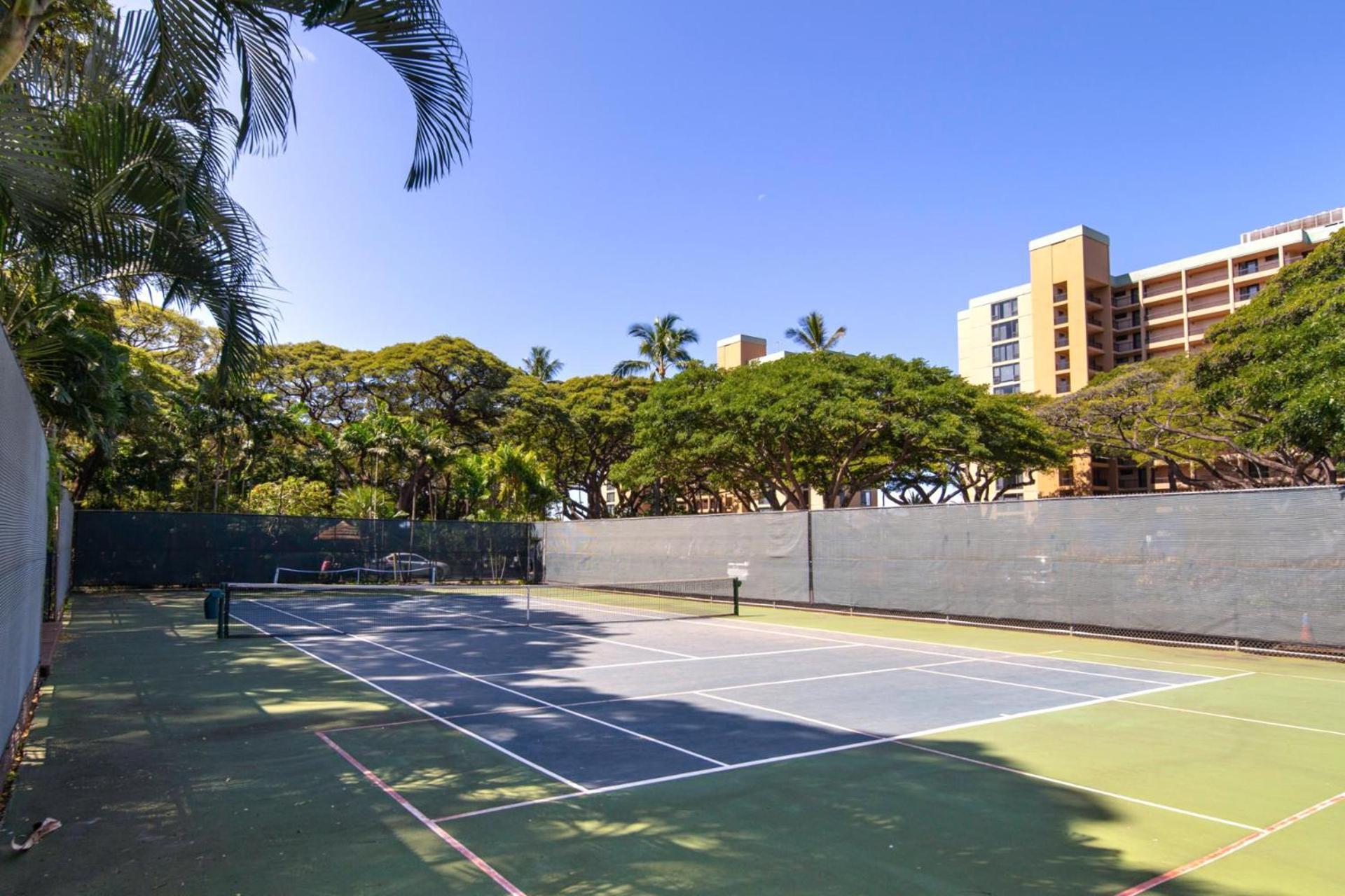 Apartment Kbm Free Car Mahana Mah-301 Gorgeous Ocean Front *