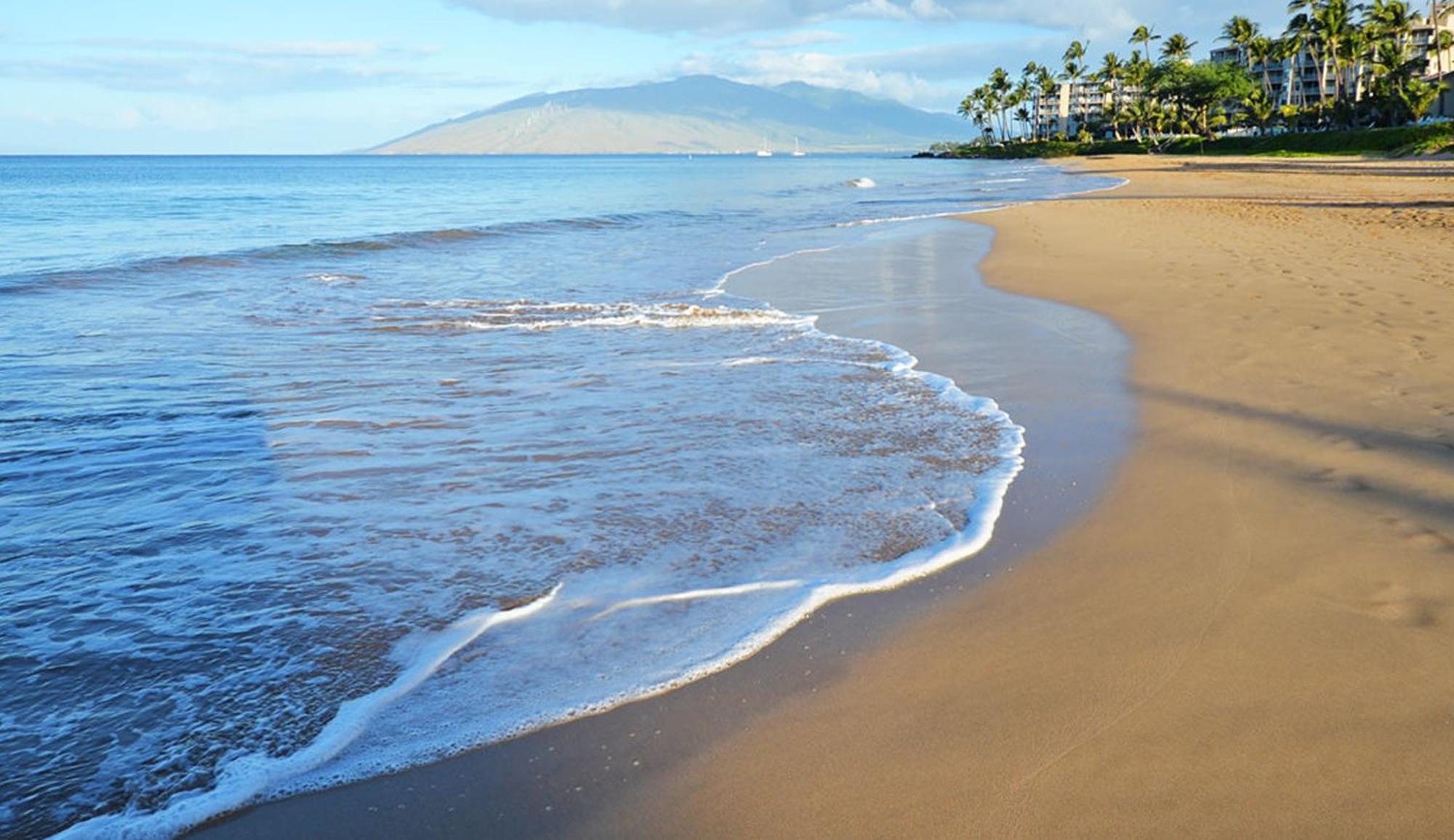 Kihei Gem! 3-min Walk To The & Shops *