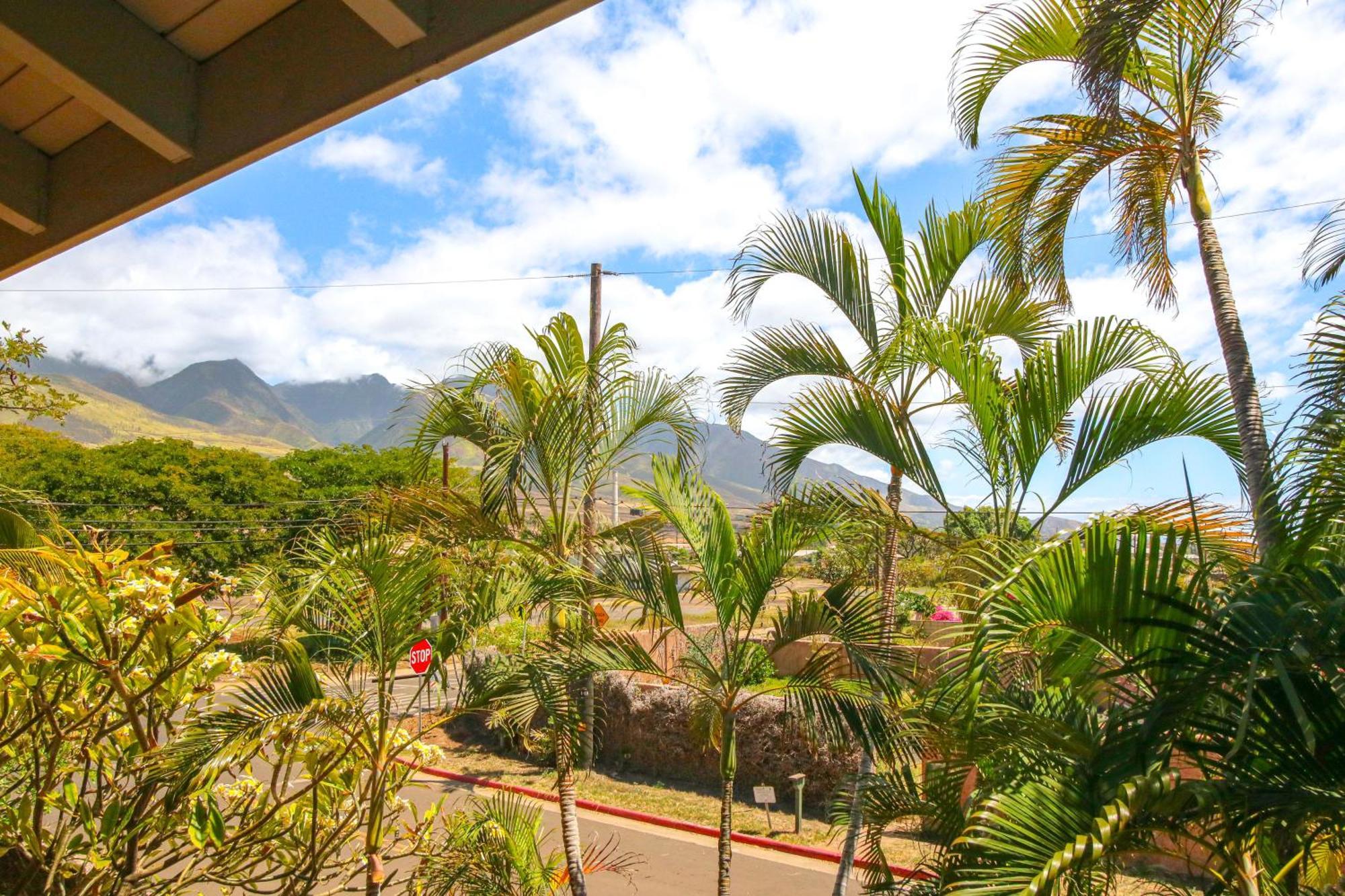 Walk To Baby With Private Pool! Lahaina