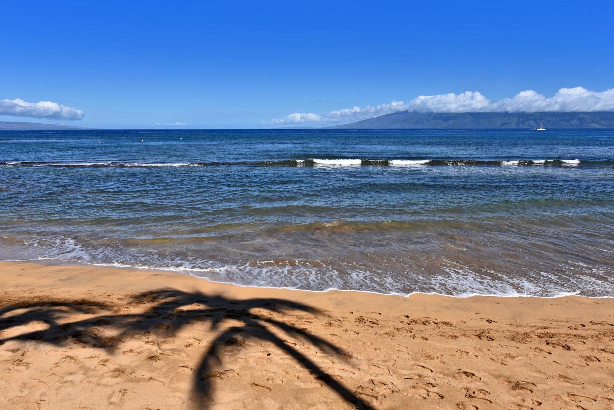 Kaanapali Shores 160 - Sleep Steps Away From The Ocean * Kahana