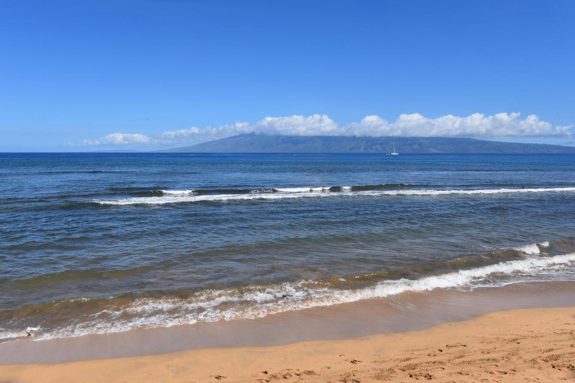 Kaanapali Shores 160 - Sleep Steps Away From The Ocean Kahana
