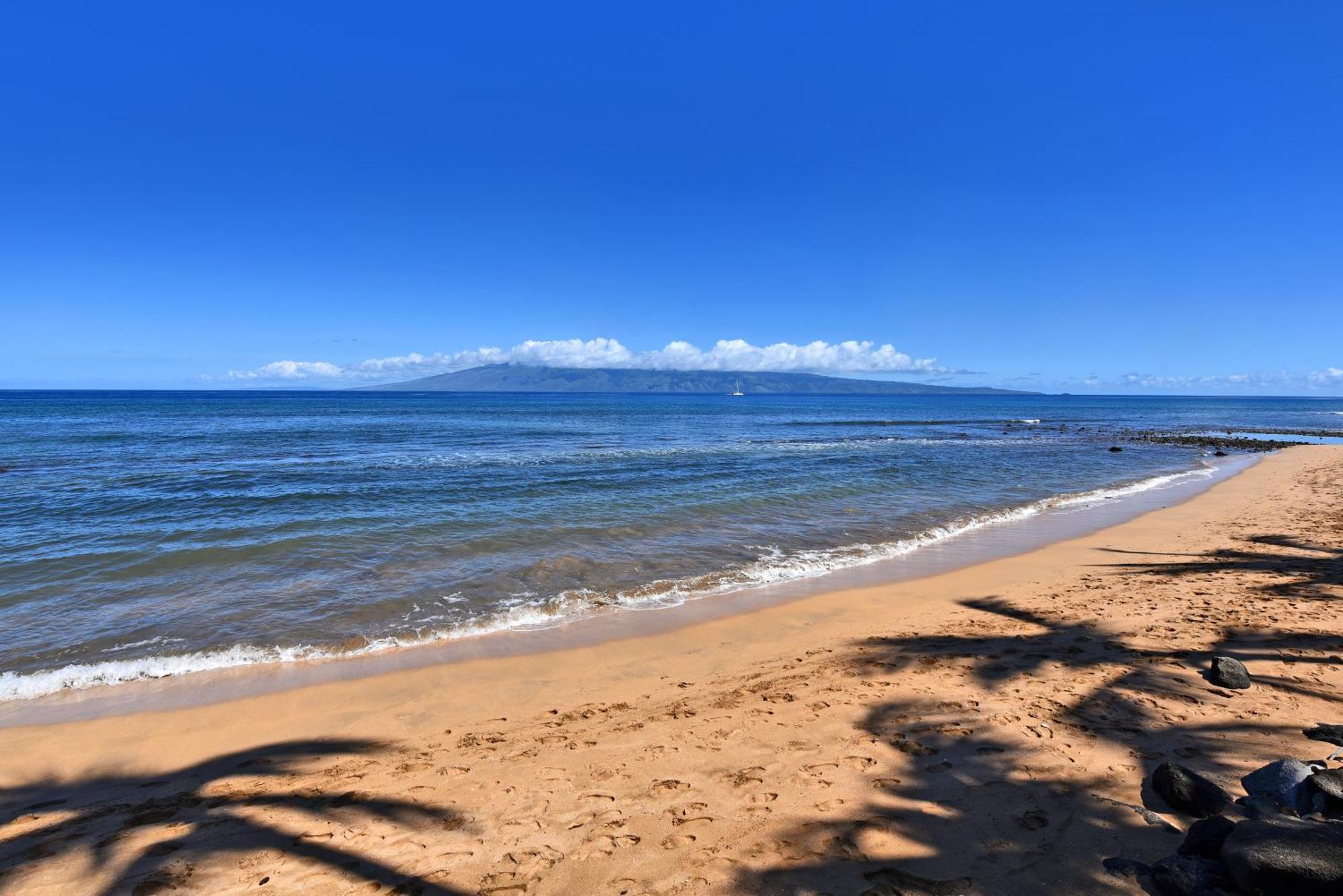 Resort Kaanapali Shores 160 - Sleep Steps Away From The Ocean *