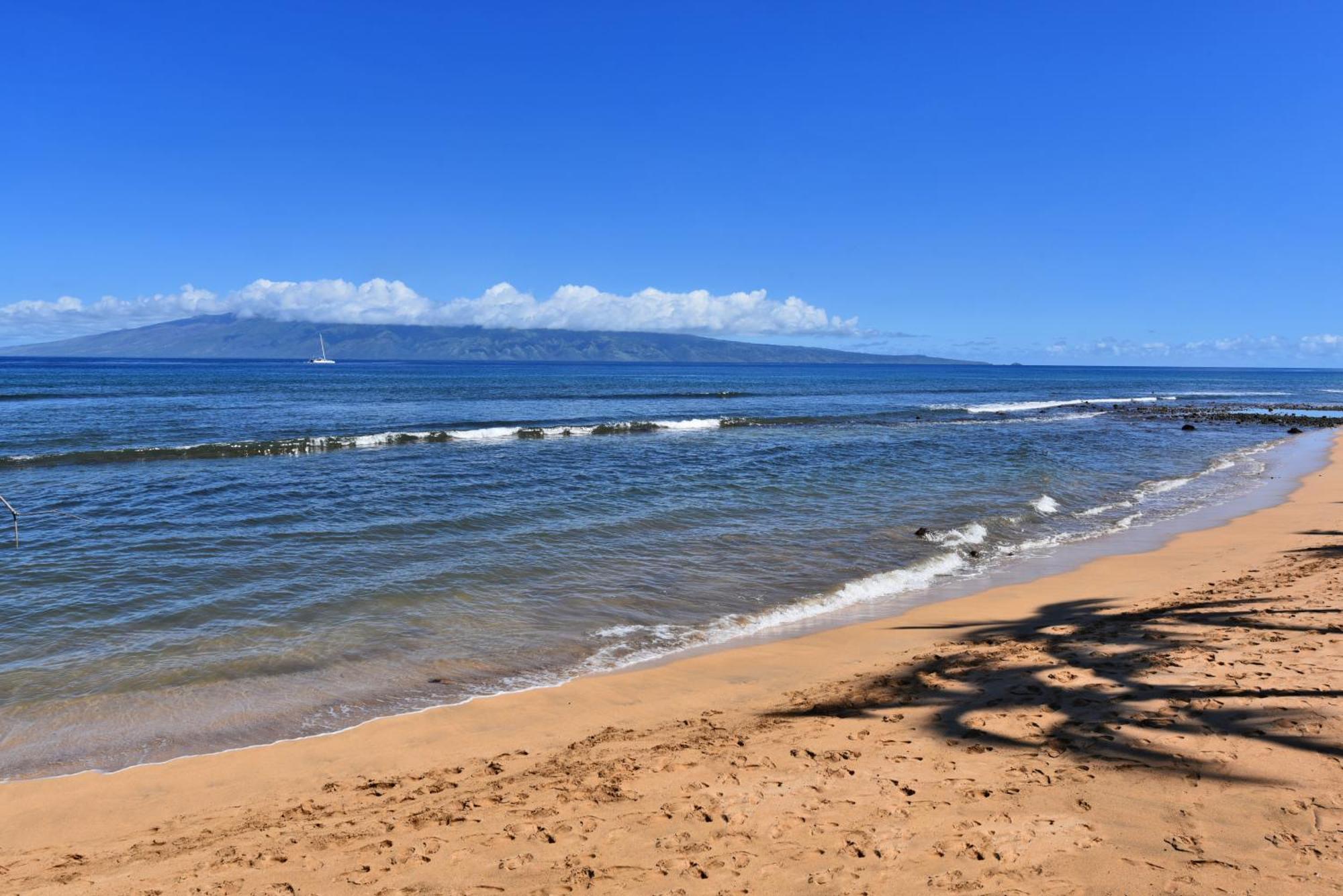Kaanapali Shores 160 - Sleep Steps Away From The Ocean *