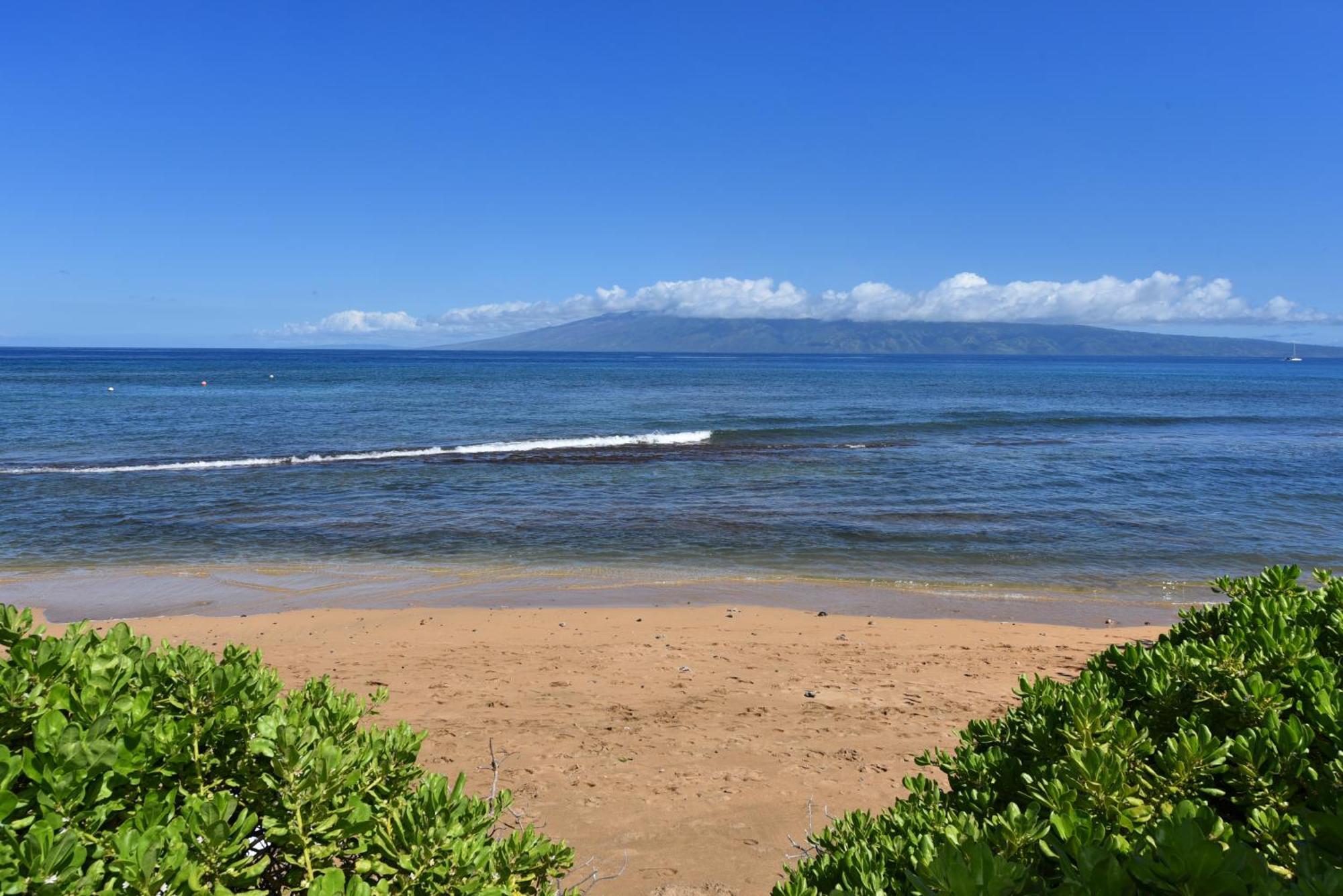 Resort Kaanapali Shores 160 - Sleep Steps Away From The Ocean *