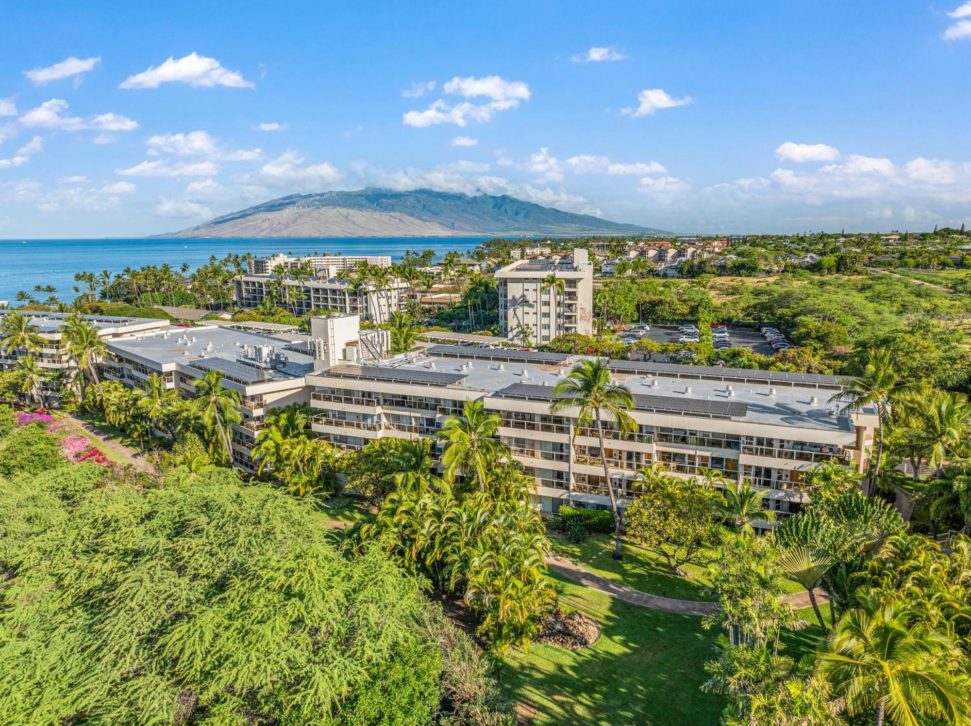 Kihei Gem! 3-min Walk To The & Shops