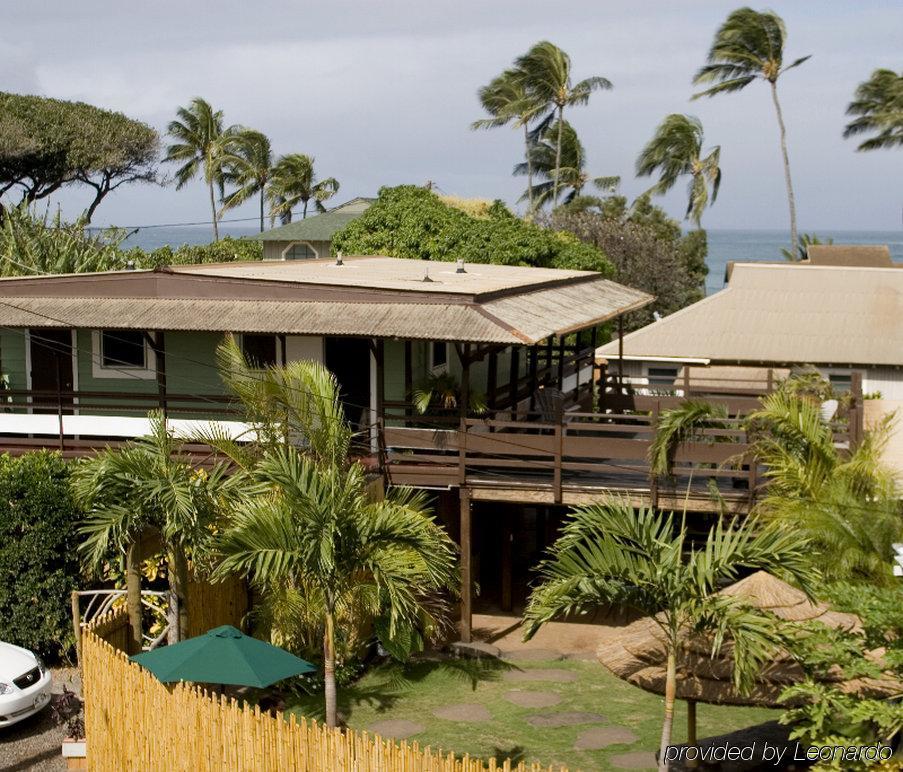 Nalu Kai Paia