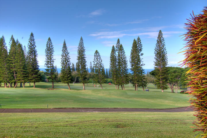 Aparthotel Golf At - Maui And 4*