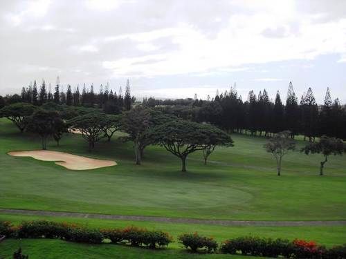 Golf At - Maui And 4* Kapalua