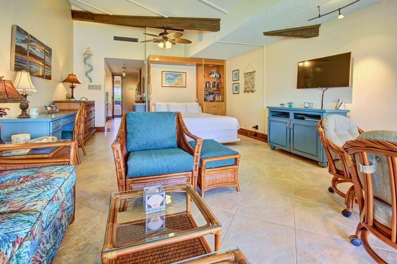 Maui Kaanapali E290 *
