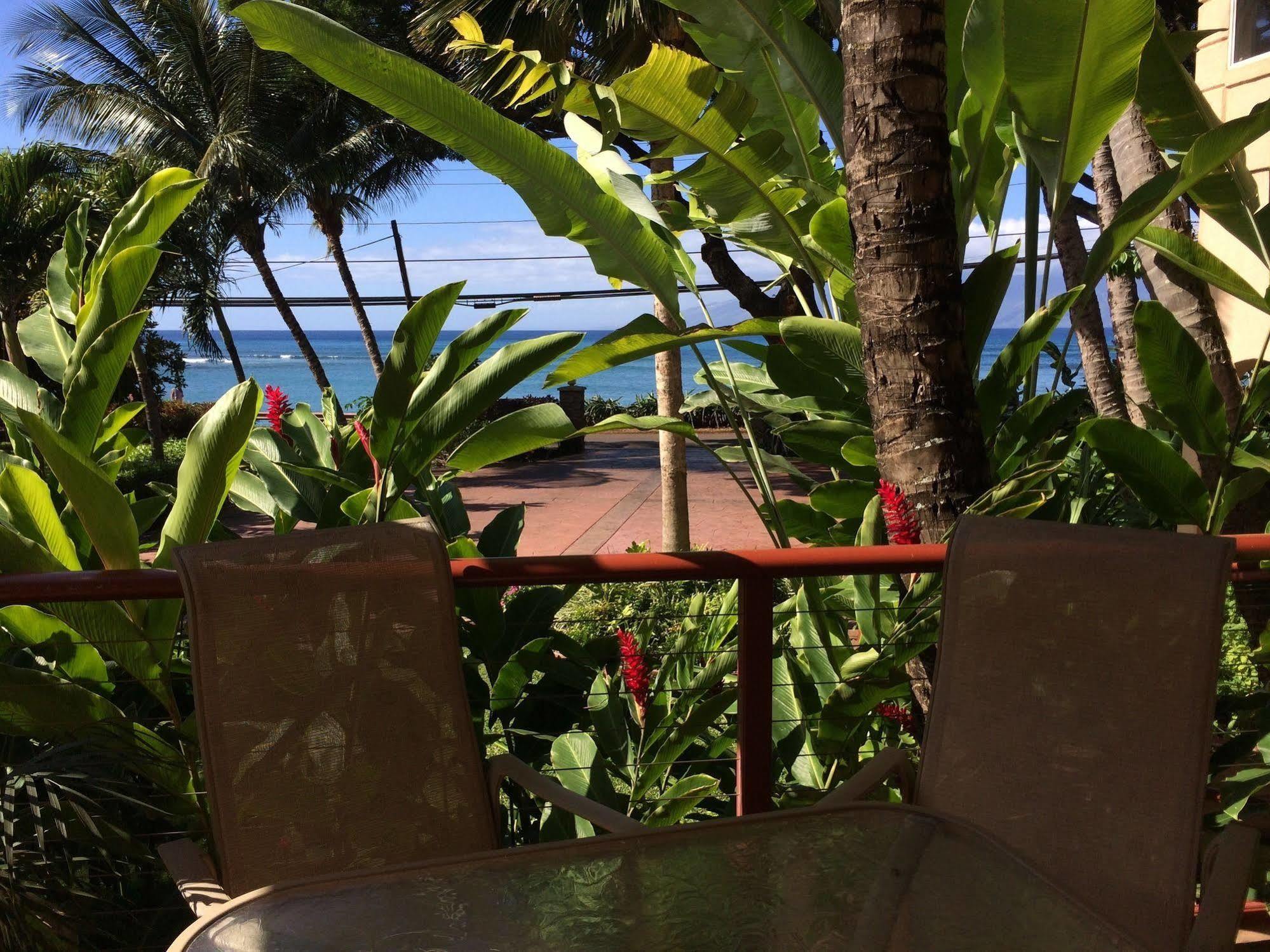 Maui House
