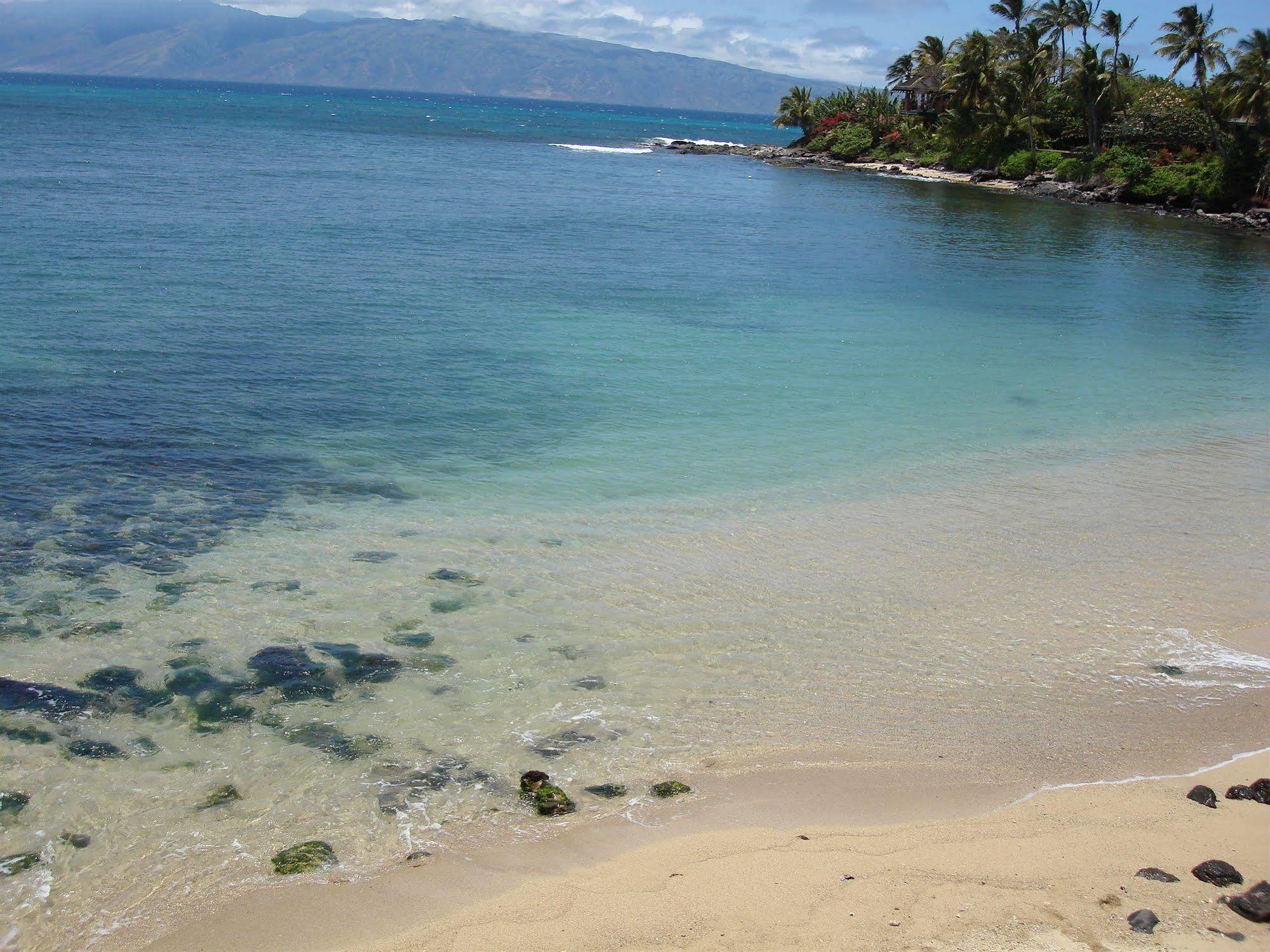 Maui House Bed & Breakfast