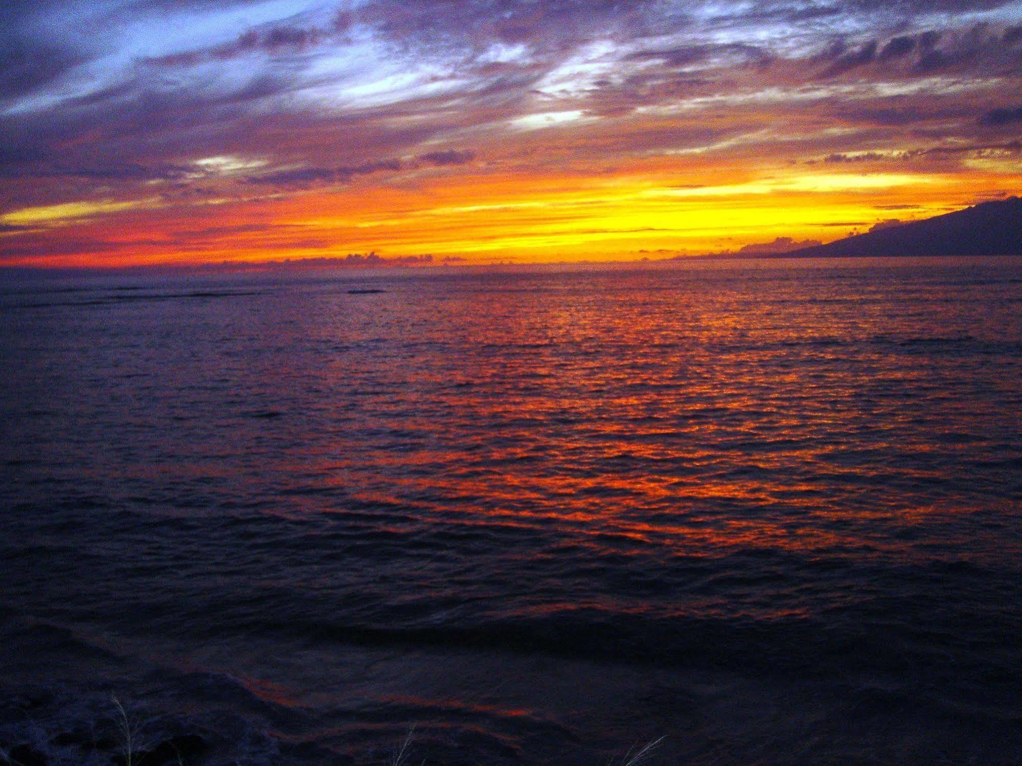 Maui House
