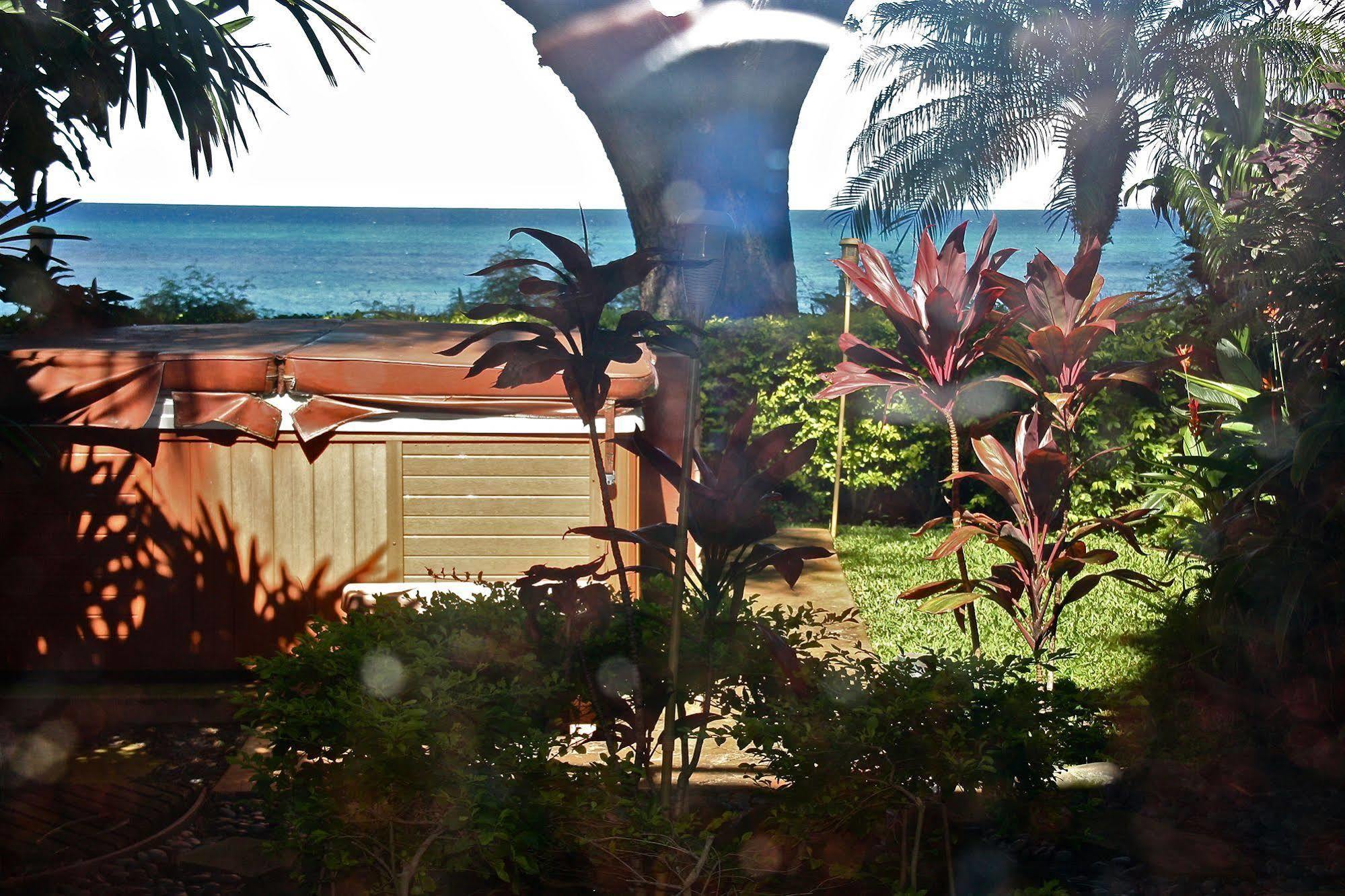 Maui House