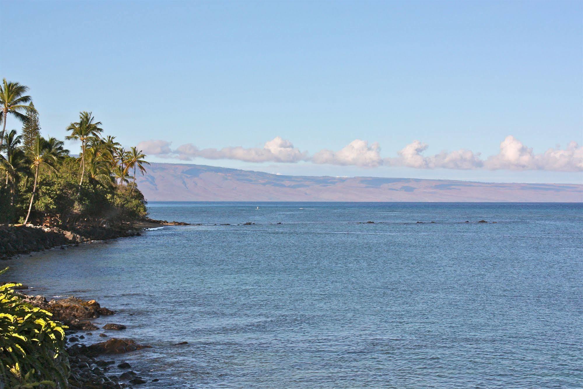 Bed & Breakfast Maui House