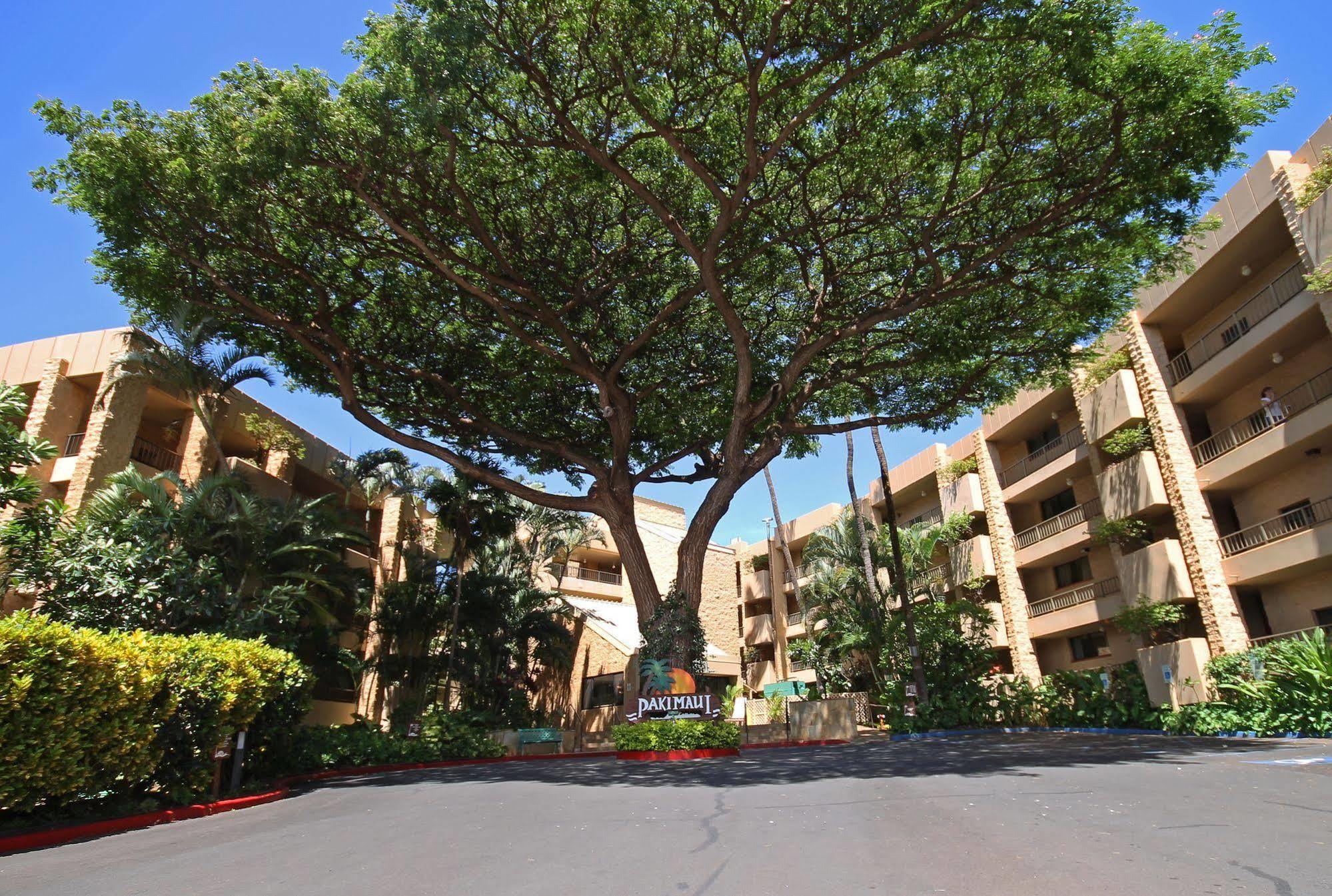 Castle Paki Maui 3*