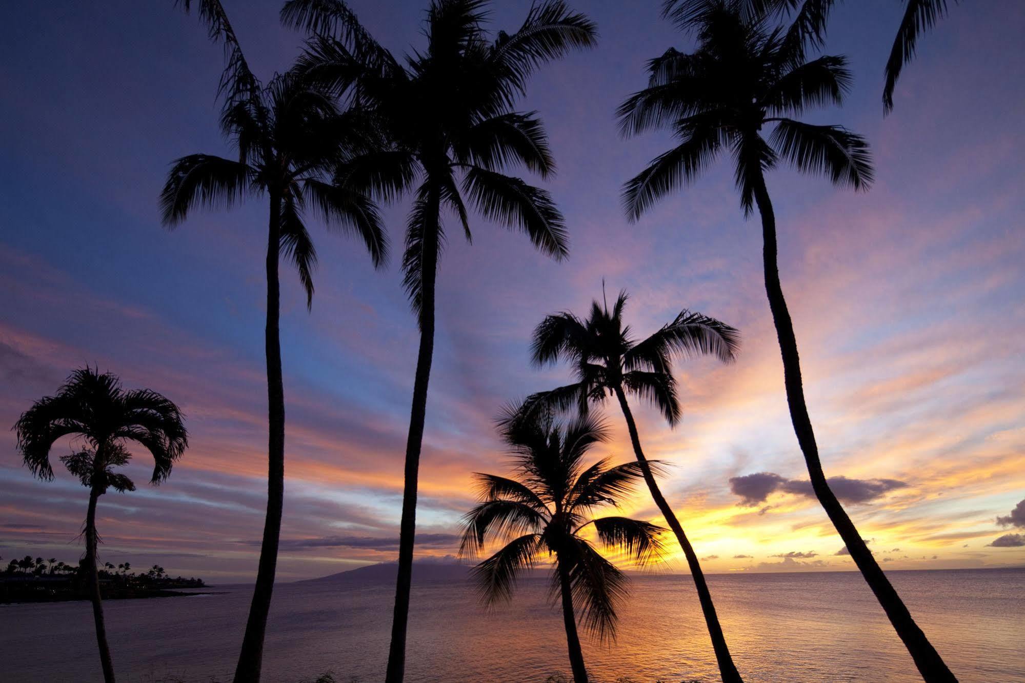 Resort Napili Kai 4*