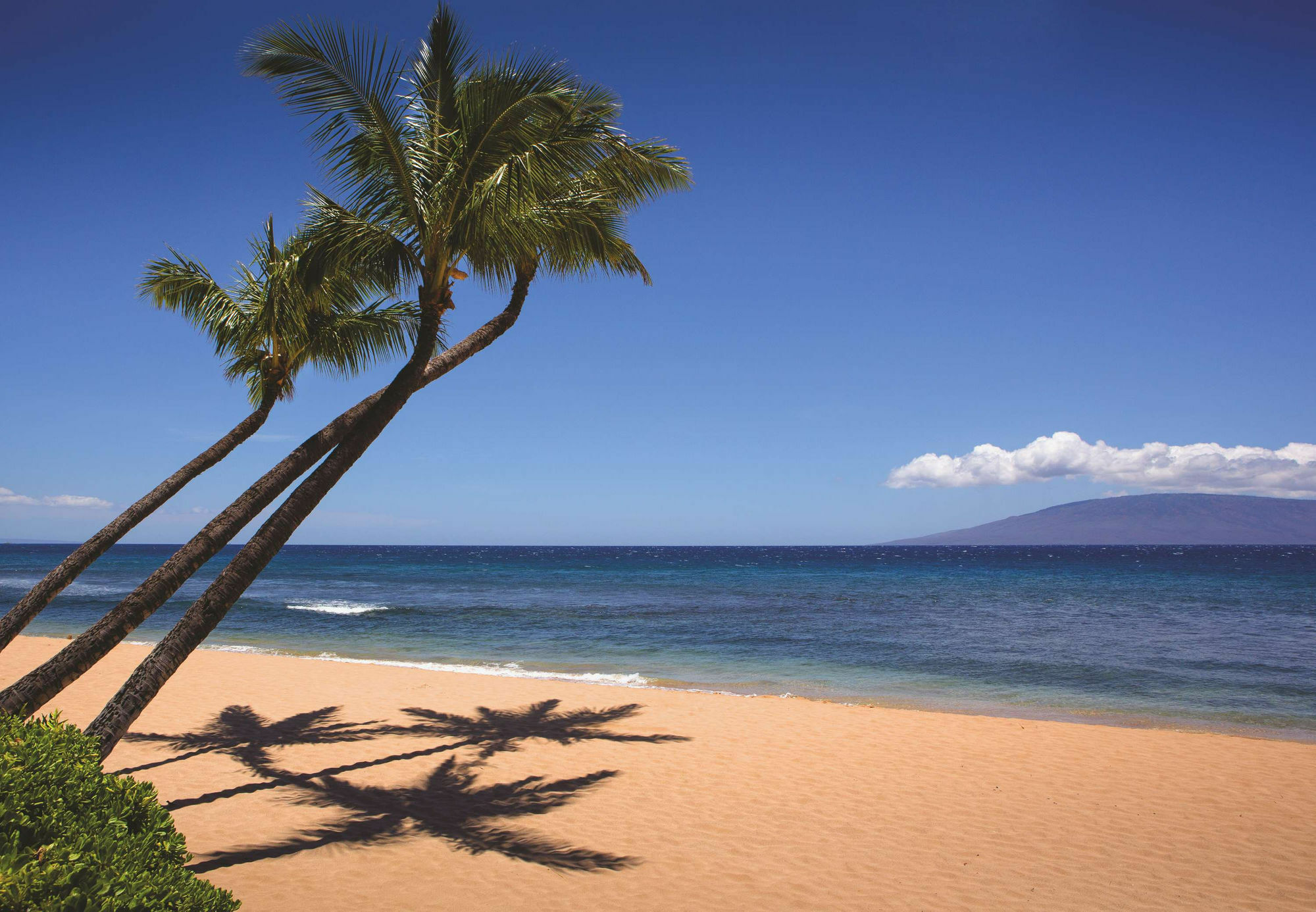 Marriott's Maui Ocean Club - & Napili Towers