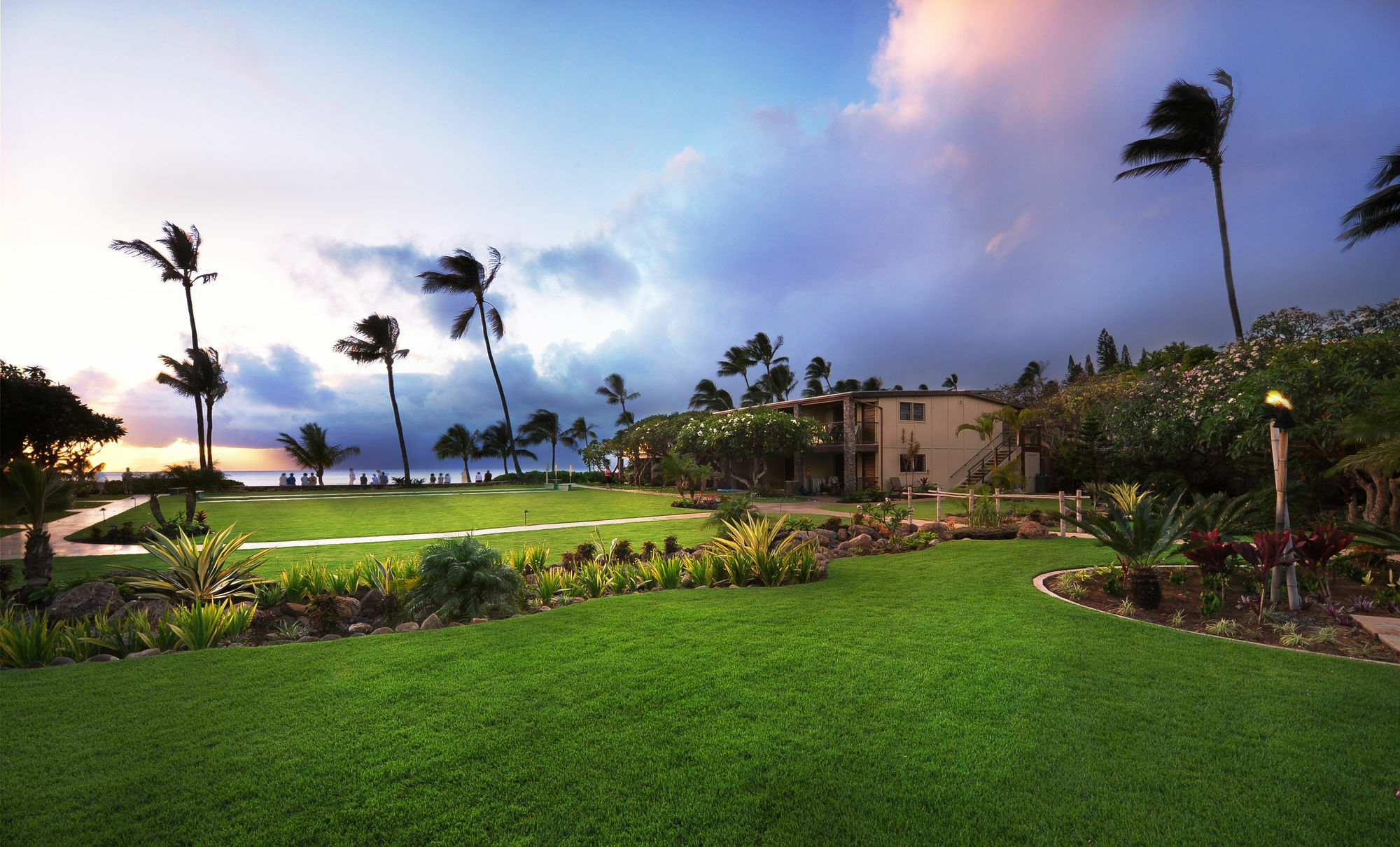 The Mauian 3*