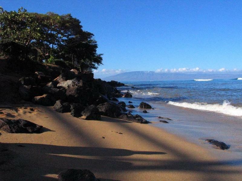 Spacious & Modern Maui Steps To The Beach! Apartment *
