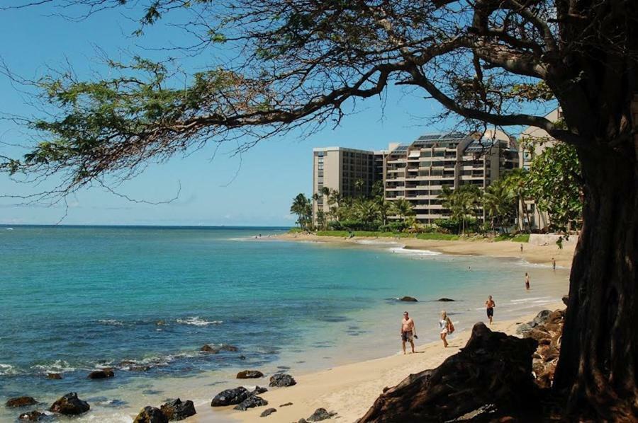 Spacious & Modern Maui Steps To The Beach! Apartment