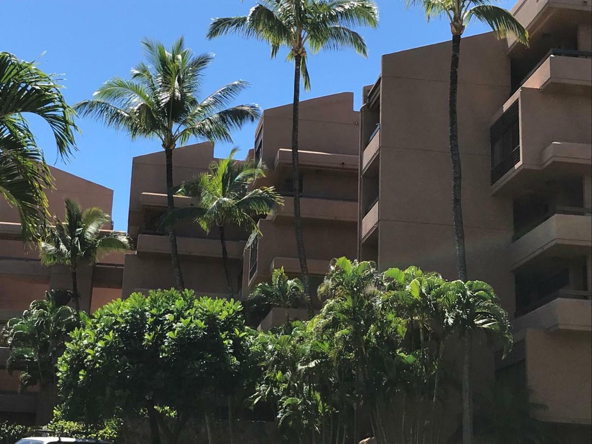 Spacious & Modern Maui Steps To The Beach! Apartment *