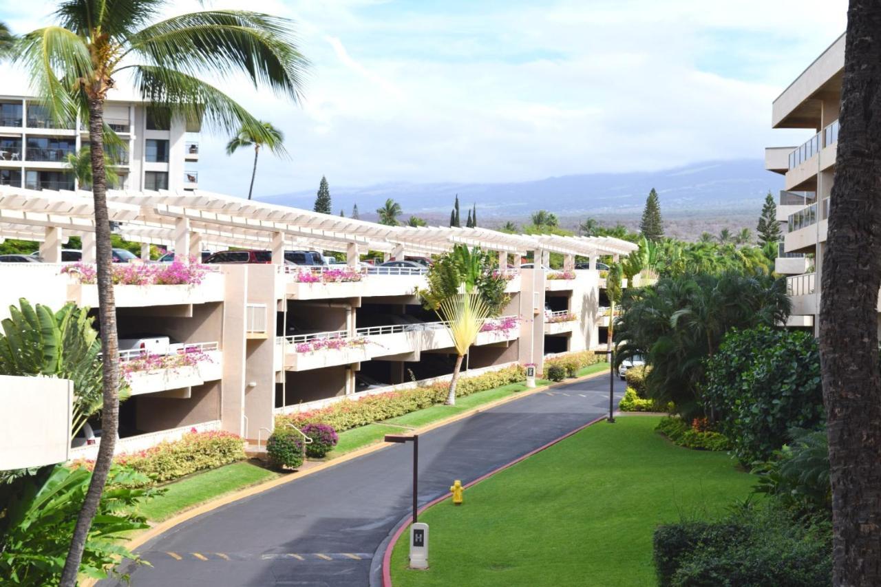 Maui Banyan G310b Apartment