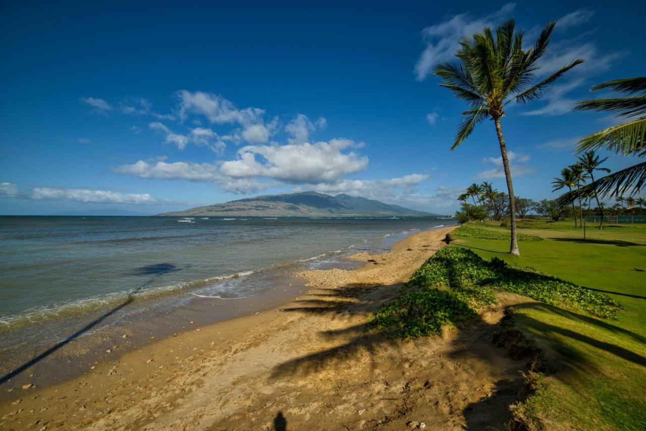 Apartment Gorgeous Oceanfront With Spectacular Views!