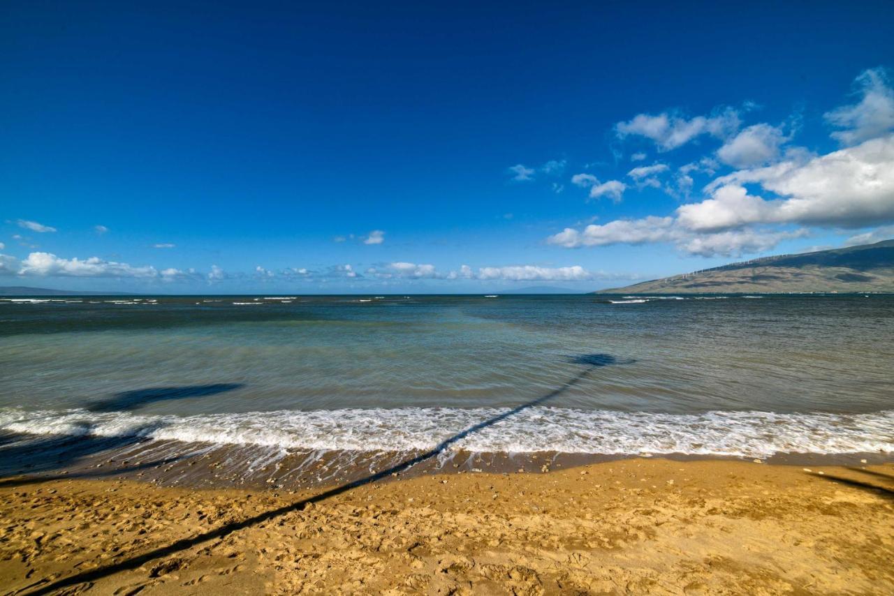 Gorgeous Oceanfront With Spectacular Views! Apartment