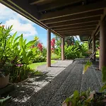 Adventure In Paradise