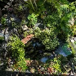 Hale Hui Kai #301