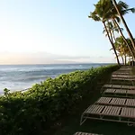 Mahana 316
