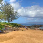 Maui Banyan Q408A & Q408