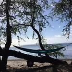 Embark On A Journey Through Maui With Aloha Glamp\'S Jeep And Rooftop Tent Allows You To Discover Diverse Campgrounds, Unveiling The Island\'S Beauty From Unique Perspectives Each Day