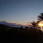 Hale Mai Hopohopo