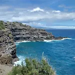 Hale Mai Hopohopo