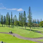 Kapalua Extraordinaire With Glorious Ocean Views!