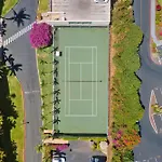 Maui Banyan